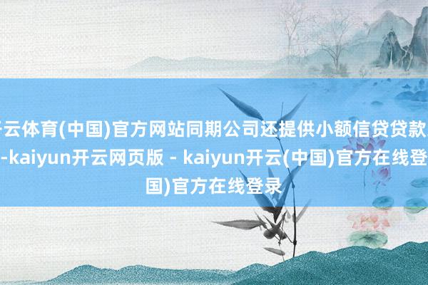 开云体育(中国)官方网站同期公司还提供小额信贷贷款工作-kaiyun开云网页版 - kaiyun开云(中国)官方在线登录